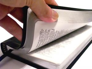 Looking through the bible